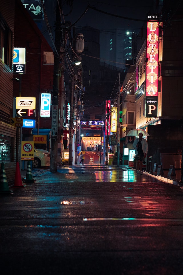 Japón y sus grandes contrastes