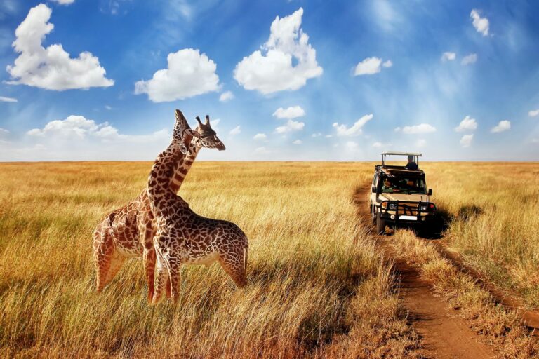 La experiencia de un safari por Kenia
